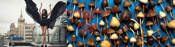 MESCALINE Няндома