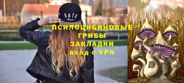 MESCALINE Няндома