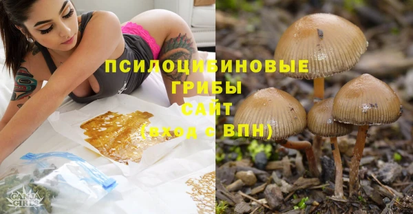 Альфа ПВП Новокубанск