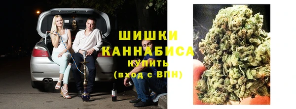 ГАЛЛЮЦИНОГЕННЫЕ ГРИБЫ Гатчина