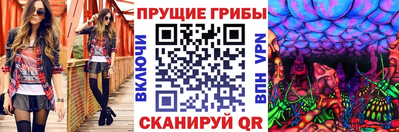 Галлюциногенные грибы ЛСД  кракен ССЫЛКА  Ступино  купить наркотик 