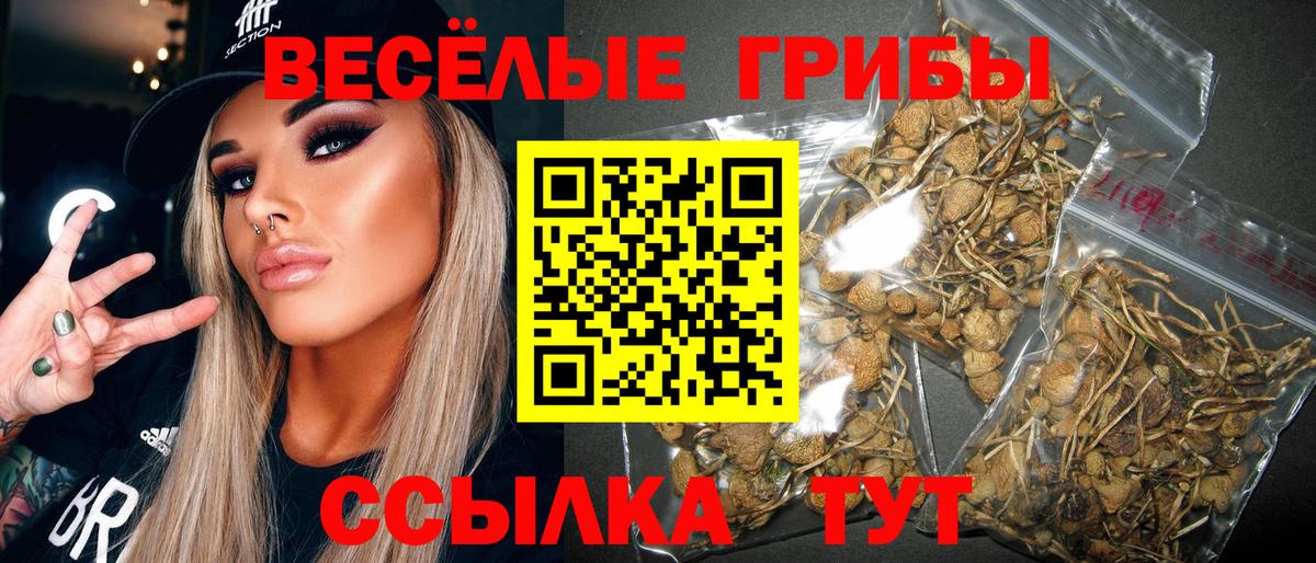 Псилоцибиновые грибы GOLDEN TEACHER  Псилоцибиновые грибы мицелий  Ступино  Вход с VPN 