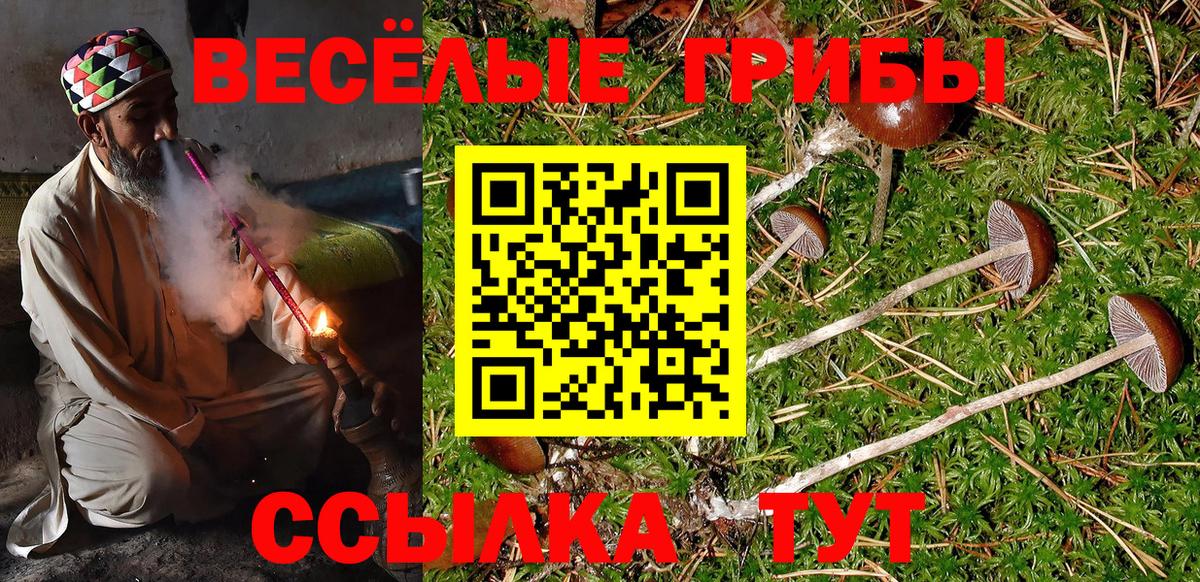 Галлюциногенные грибы MAGIC MUSHROOMS Ступино